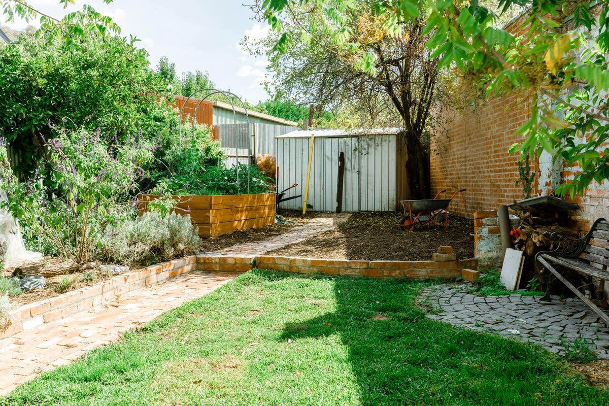 Backyard